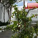Christina Mykonos Town